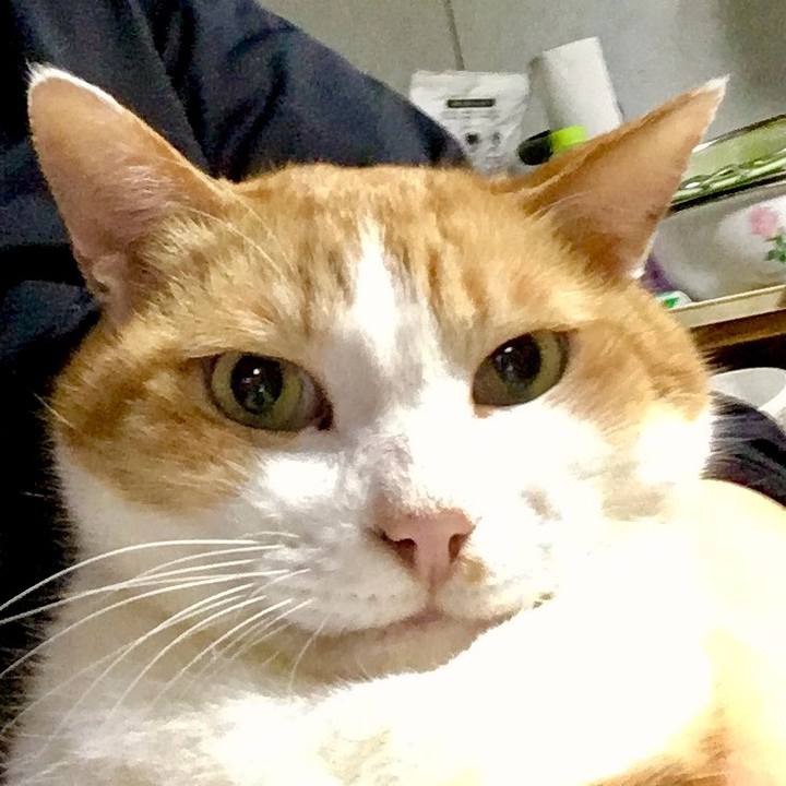 636e3af4 3a76 4779 9df6 c75a39e2cd16 1555019965464