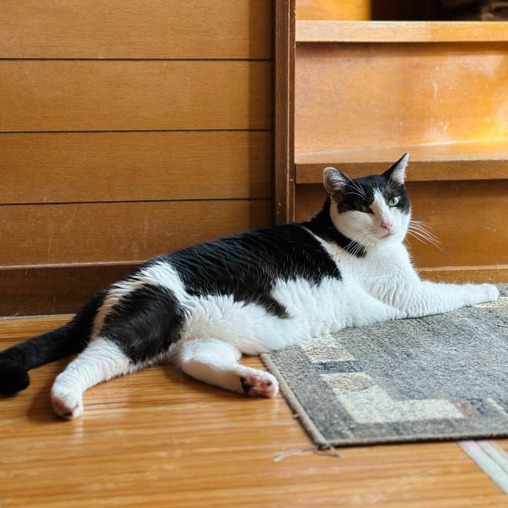 636e6c86 f582 41f1 a4af 207a4bd8dfe9 1727313875578