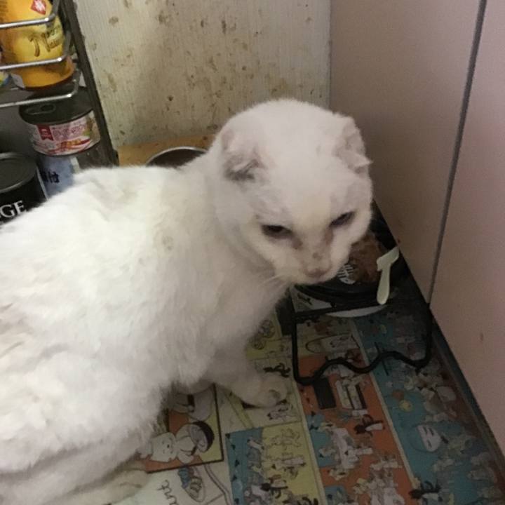 636eb7a3 e0a9 4514 a28c 97f14b23def0 1591264568186