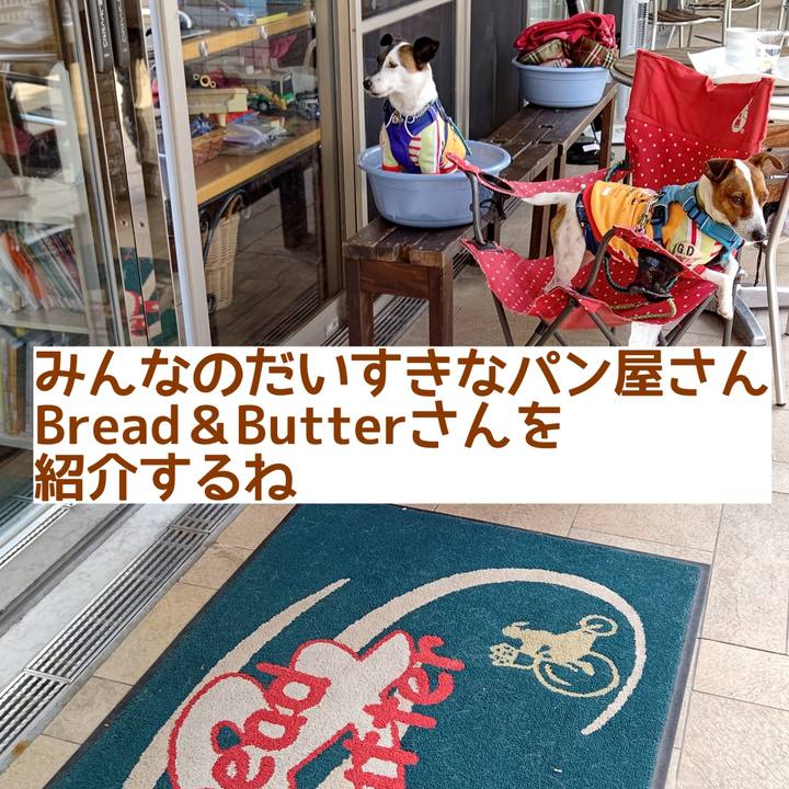 636ebae6 fb0f 4e47 bd94 cb8221757d42 1621841224449