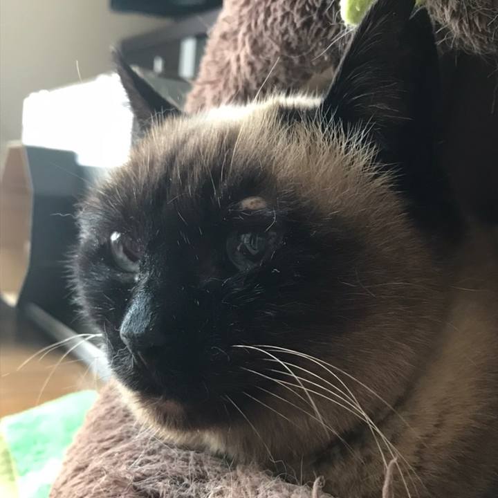 636ed9b3 e09e 47a9 a558 135790ed1fab 1558485997655