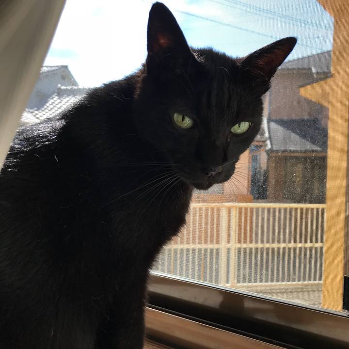 636ef33e 6d2b 405d a9ad 9dc7f53047e8 1534639588268