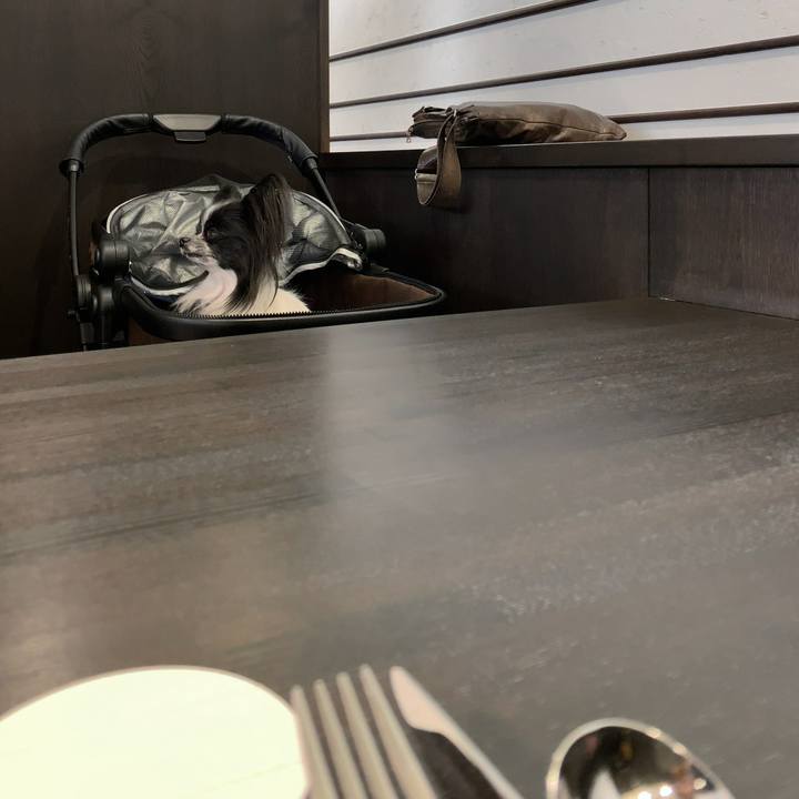 636efc8a 750a 49bd b374 db0a25717e2e 1553491478615