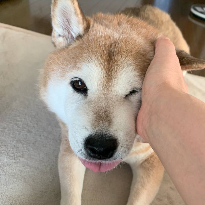 636f3793 41af 4bc1 8a3c 98a2278d74e2 1570937972026