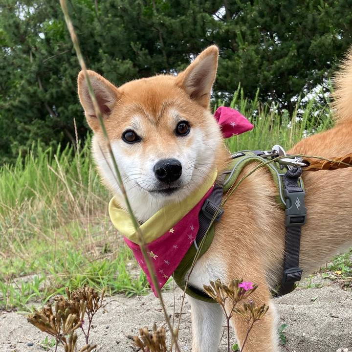 636f657c fce0 4db1 ab79 22b365f60103 1638879551139