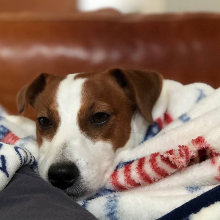 636f701d 8167 42aa b6bb 06a6be937207 1580198833839