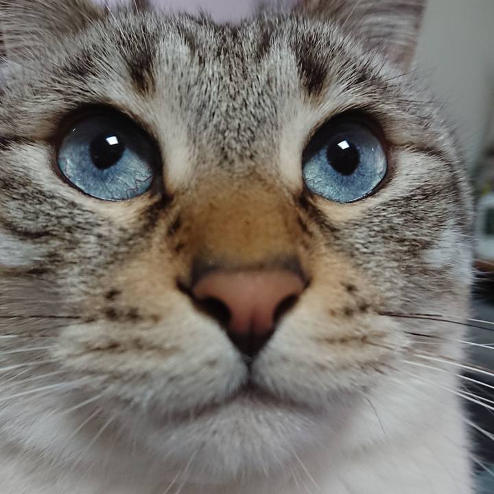 636f703b e15f 4737 a0c7 42f5f357b8fe 1583837956639