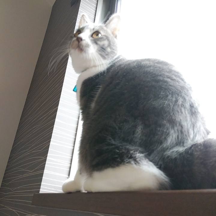 63706139 b2d2 431b b59d 2fd4c034910b 1575933464673