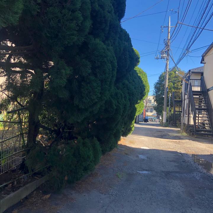 63706cc3 1ad4 42c2 a2a2 72e028578c04 1583130619699