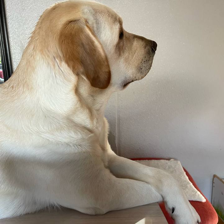 6370965f 91b3 46e4 ba18 5f98ef122641 1653795834969