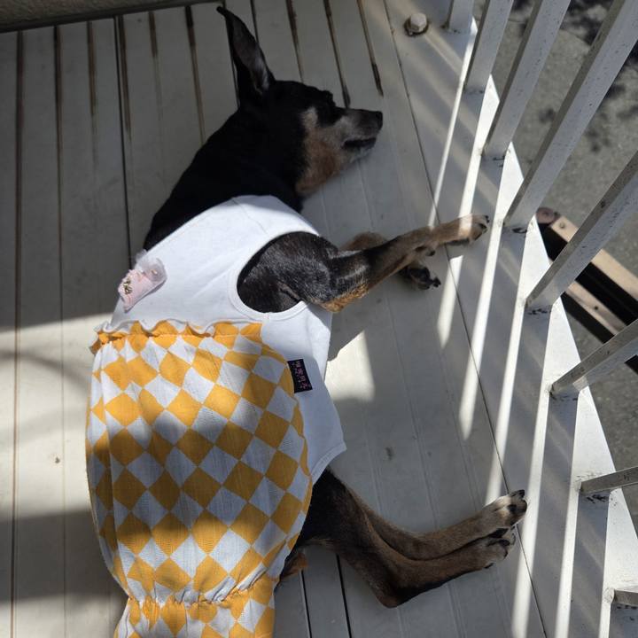 6370c623 a459 46d6 be3b 631f8fb53d94 1754101347631