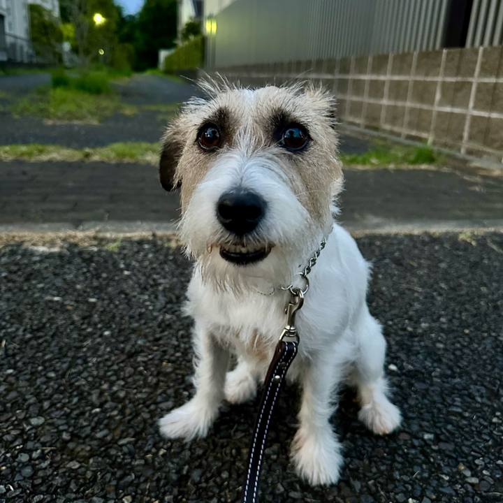 6370e405 14ce 4611 8db1 ca6187d61b95 1721871169197