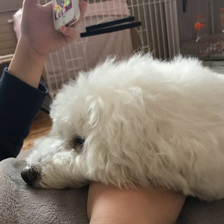 6370fc72 f4f2 4adf 9c30 231d7dad27d6 1586761644899