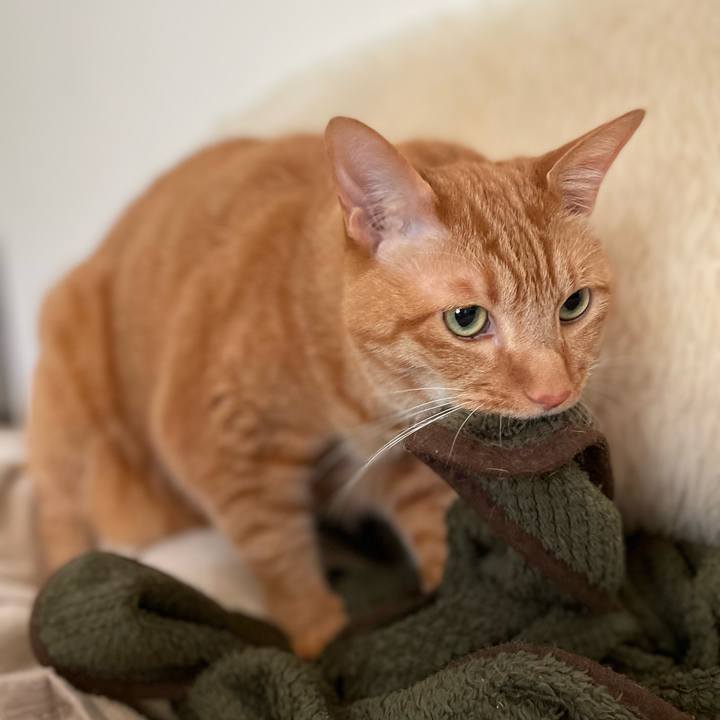 63710812 5a46 4516 8974 a0f8d66de064 1652269825562