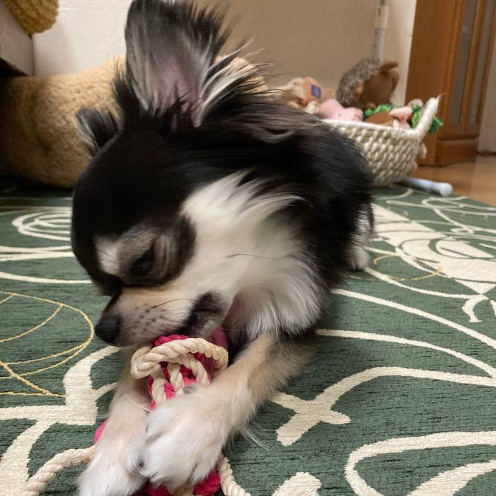 63711e20 3786 40c9 ae6c 16c6e2b207d2 1650202042730