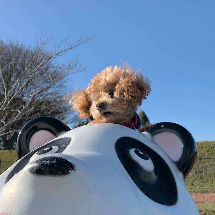 6371338b 7026 418a ac45 c8457207a4c9 1766929451090