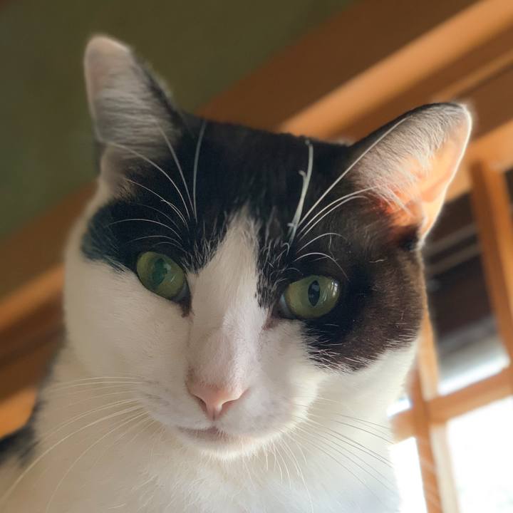 6371536c 6940 448f abfd 450b4e00d80d 1574125081783