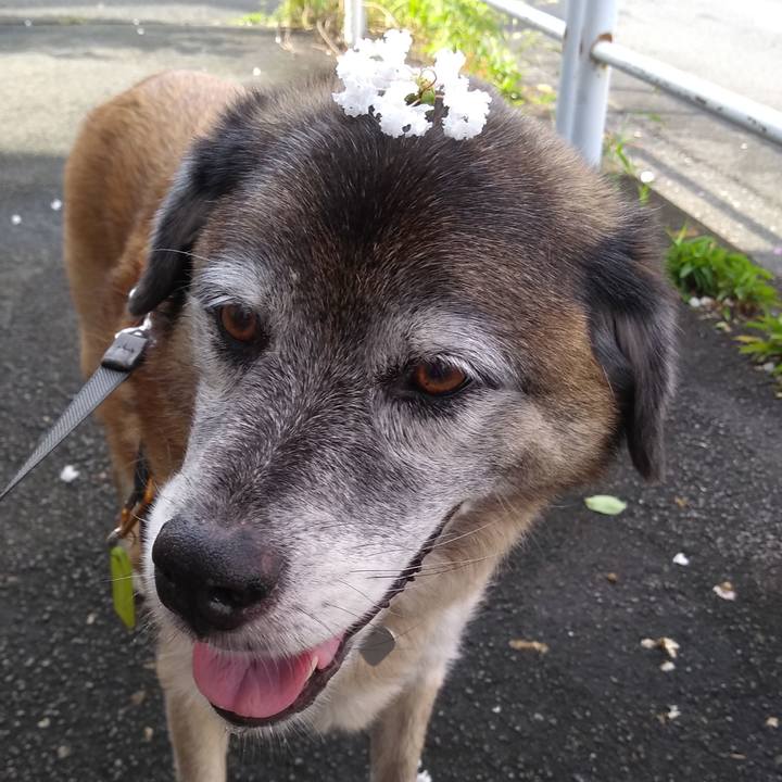 63718619 f818 4f0c 938a a294403e404c 1567035569146