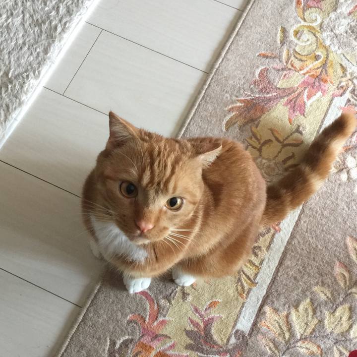 63719b2b 49f3 4a8f 9a3e 7f6aa93f7151 1526167139873