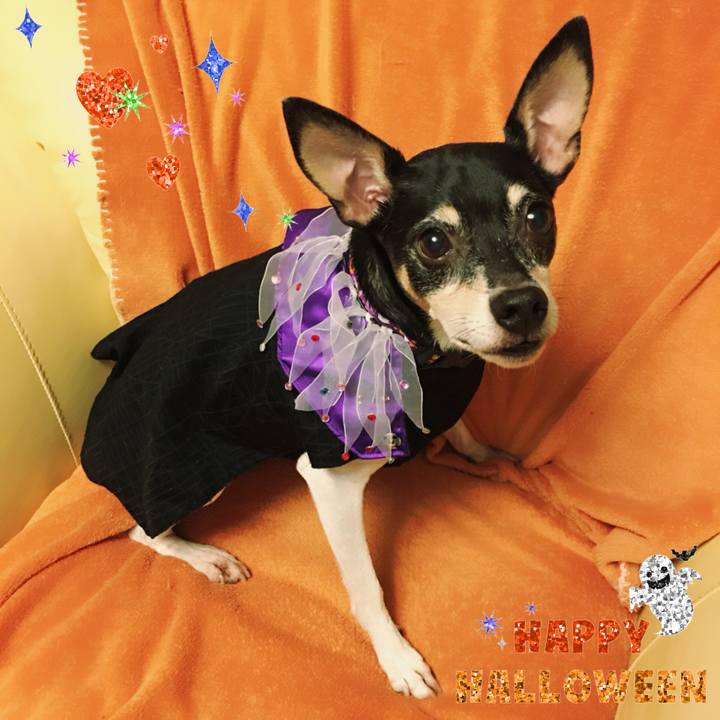 6371b820 0cf9 45cb 8746 8f53e7548776 1509446204954