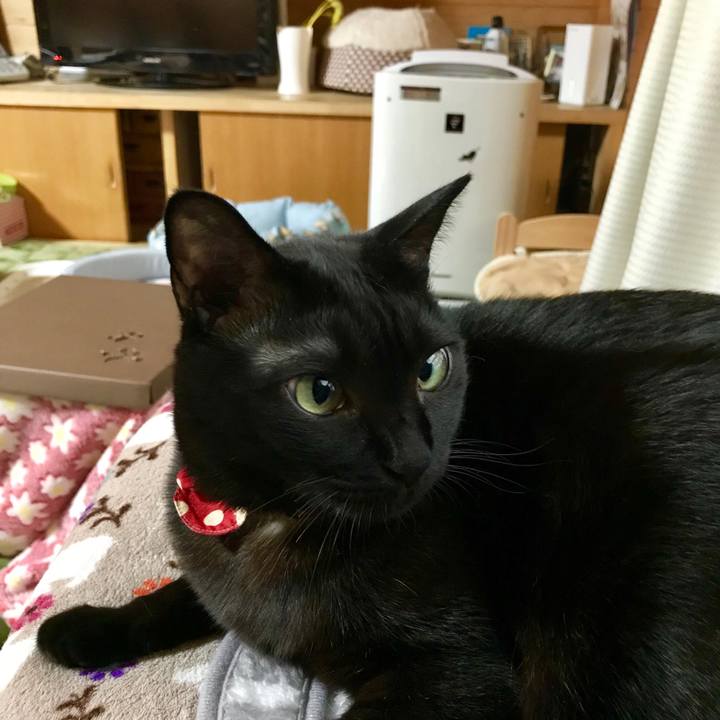 6371c1bf 4d67 444e 83d4 2aa3239f56c0 1518684202775