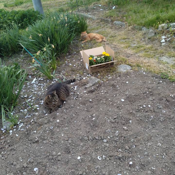 6371e2b4 9078 482e b0af 646bf3f6218f 1714987621602