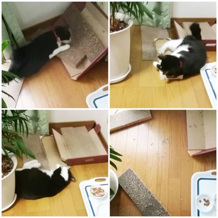 6371ec8f 5b1c 43eb a7f0 080b513db7a7 1574669480481