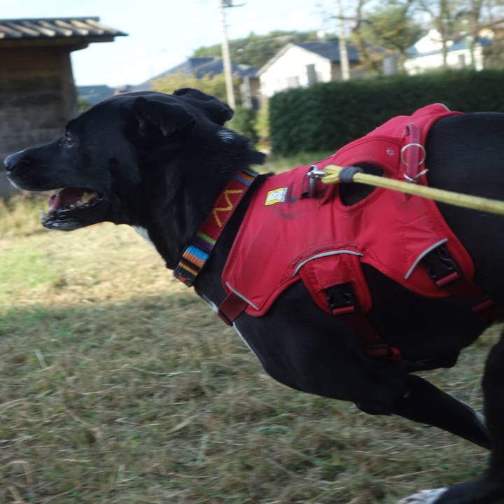 637201b3 8b5b 4307 ab9c 28657a5656ec 1602548481118