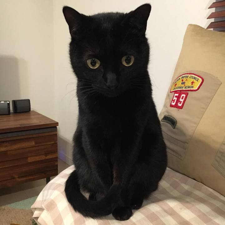 63723113 3b8a 4a04 bd7b 365c9b0d78f0 1552650779115