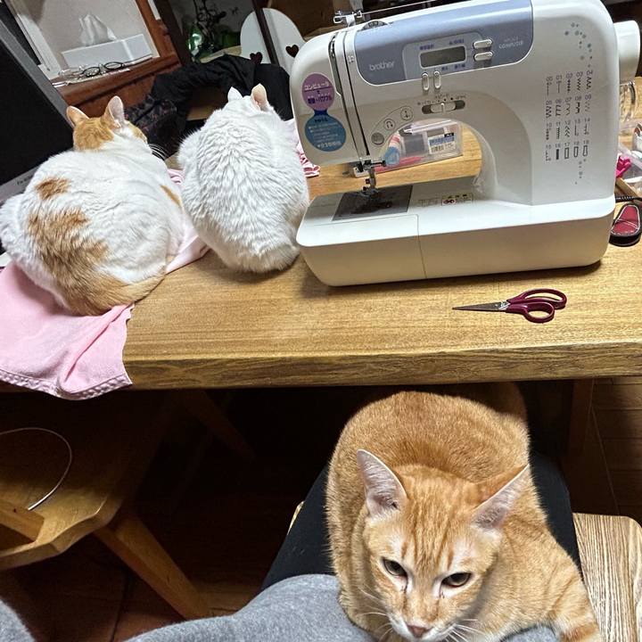 637237a4 93c5 41b0 b821 1af4e266575c 1672319485887