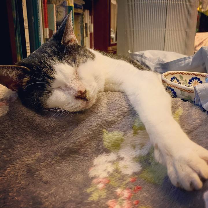 63724251 d86f 4058 8701 dfe2191e7ba5 1615470667413