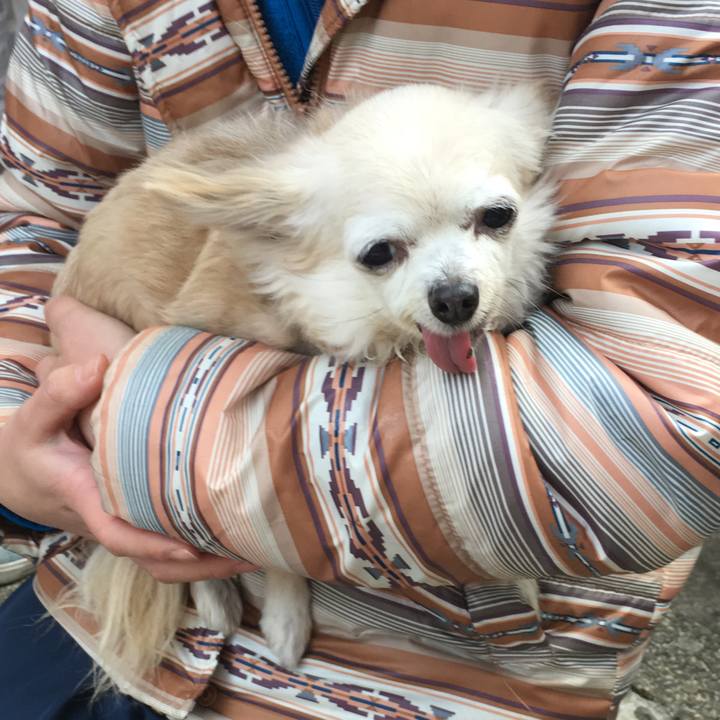 63724c61 59fa 4bba a205 a14a5bee757b 1513853374820