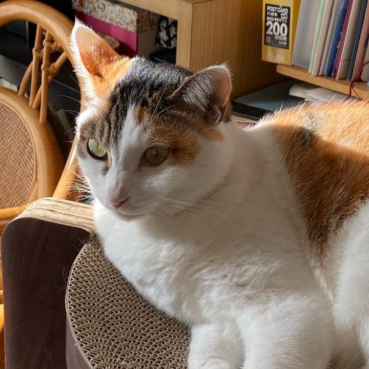 63728e55 2c6b 45c7 b850 6478d5805fd9 1767572923414