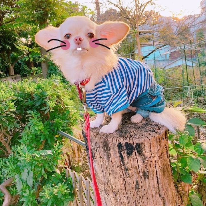 6372cb8f 63eb 421f 8f7d fa9cad364610 1634300519432