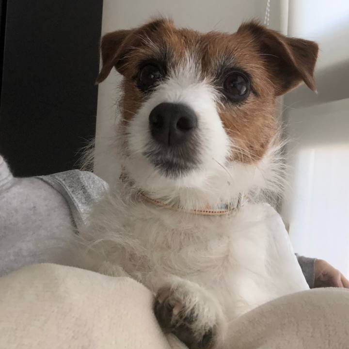 6372f4c9 19d0 49e3 a721 87b789cc324a 1581392622488