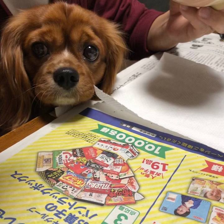 6373005f d967 4990 bf20 e0df7fa129c9 1559167900575