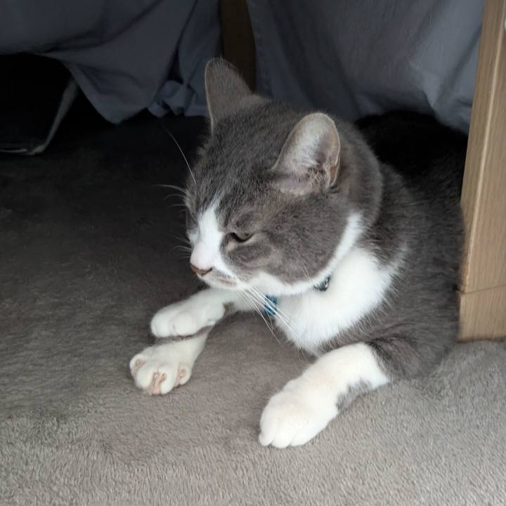 637379c8 c478 40d2 8cd8 a149b9cd66ca 1775268210357