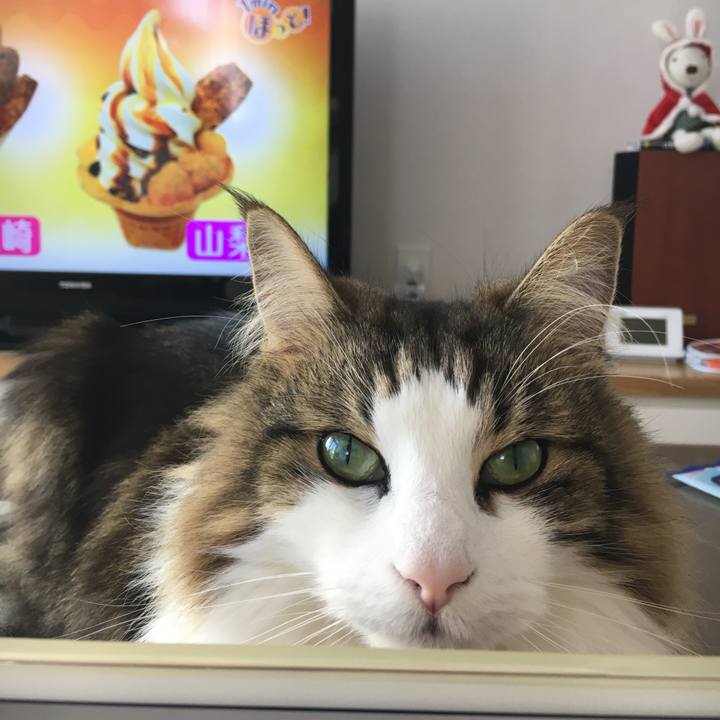 6373815e 71de 48c0 ab6f 760d854b41fd 1544788181944