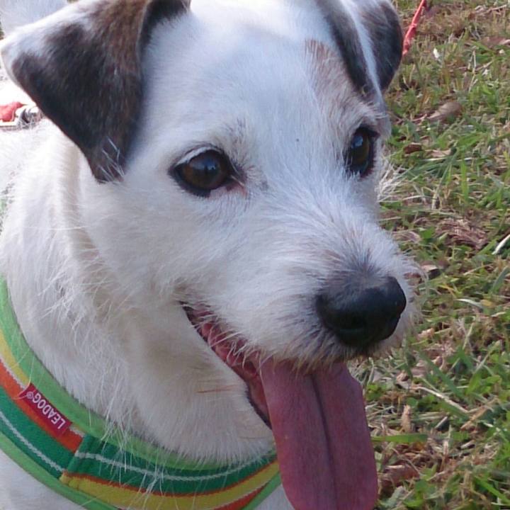 6373a0cd b073 4277 9ea3 c36e17bda3f2 1511736952559