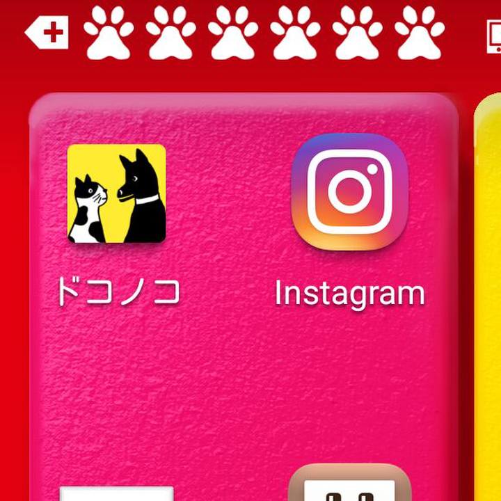 6373a9c5 ca5b 40df 8161 37b7f26943b5 1546917168453