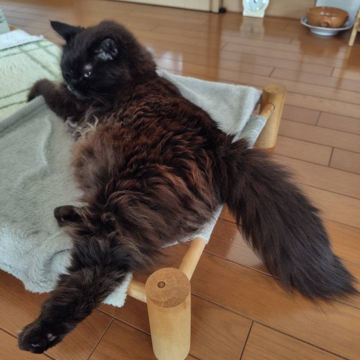 6373c173 e251 4dd3 aec6 813398a4e164 1746488828091