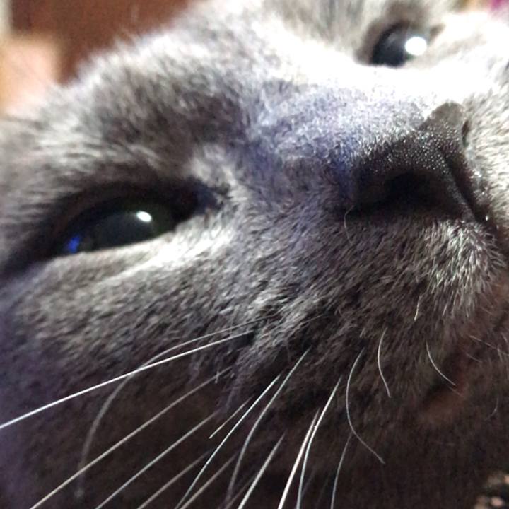 6373e1a9 ddee 4380 9cdb 430863482c7a 1563632780711