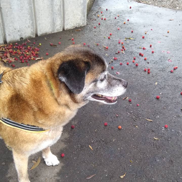 6373e90e 885b 4b6f 8a87 0be86044f6f8 1561937719322