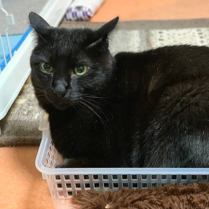 6373fe89 6bd1 4b03 8ed2 2c7d3f053771 1552438281014