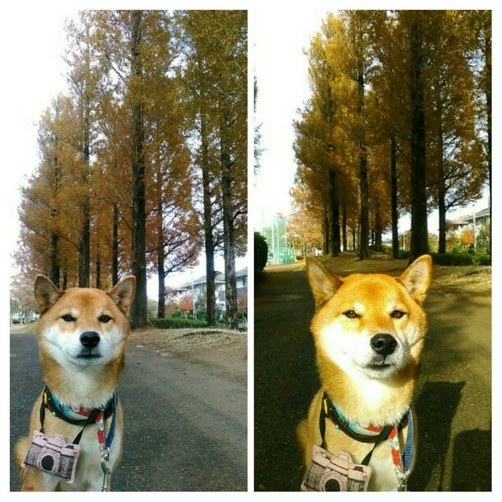 63740dff 3272 48e1 959b d72d3e7dddfe 1542677861618