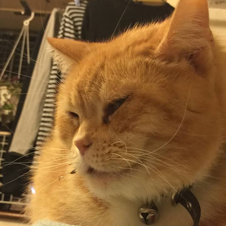 63741515 322a 44c5 b7e0 621a7797af14 1547889519292