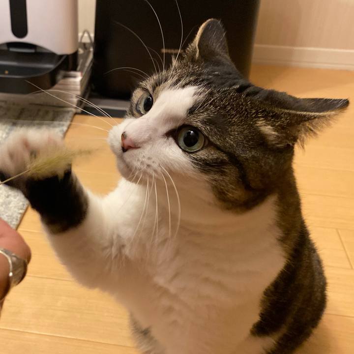 63742dab 0bcc 416b aee0 7eac1b2290ba 1659311518188