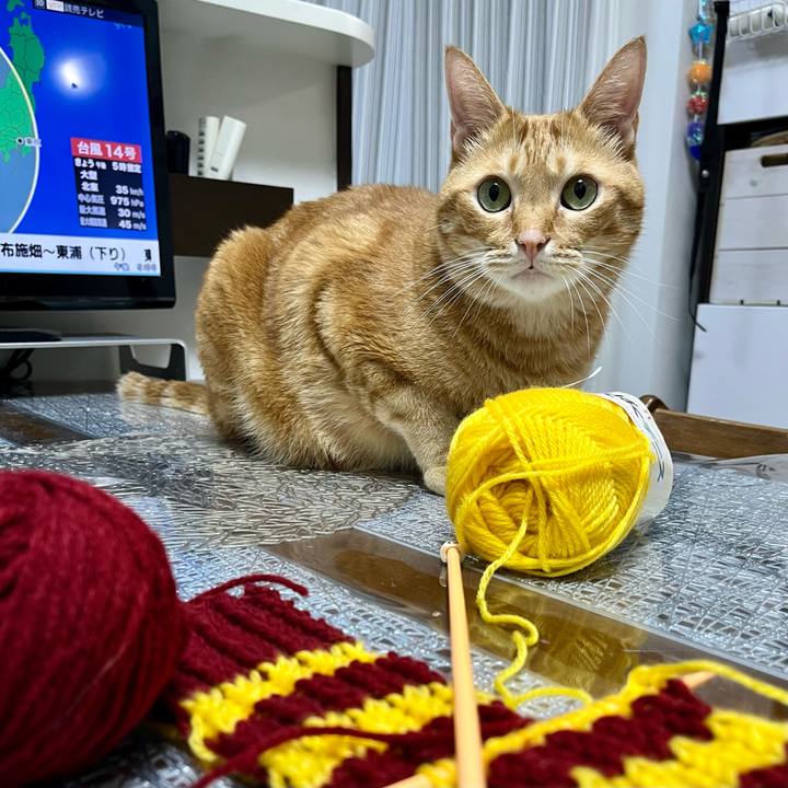 63743705 3af6 4f00 91d2 f0fa14252673 1663574803302