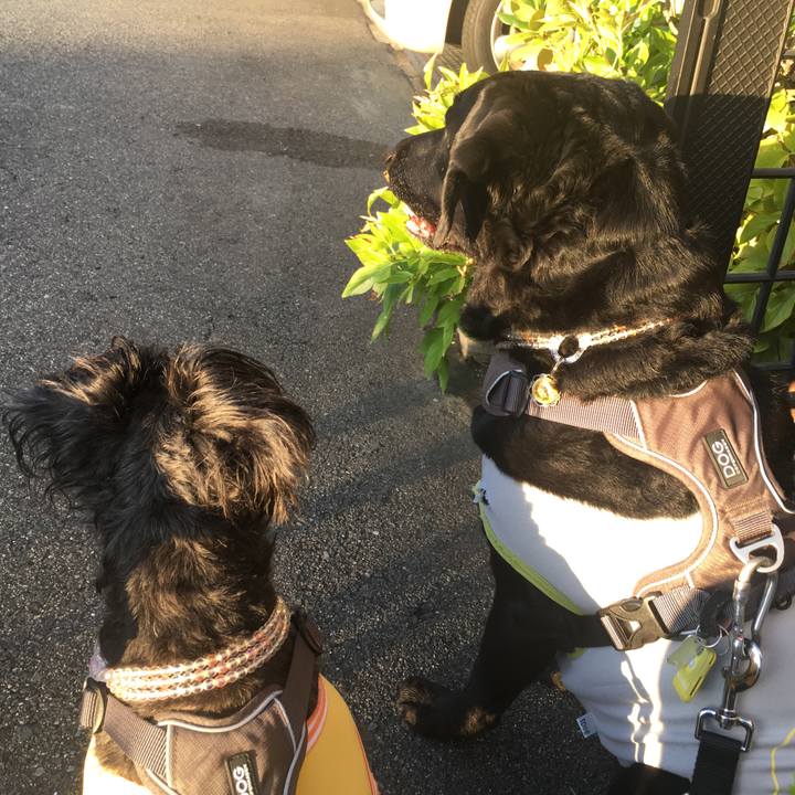 63748795 6e60 48fd 94fd db6fcab9d21e 1535935218991