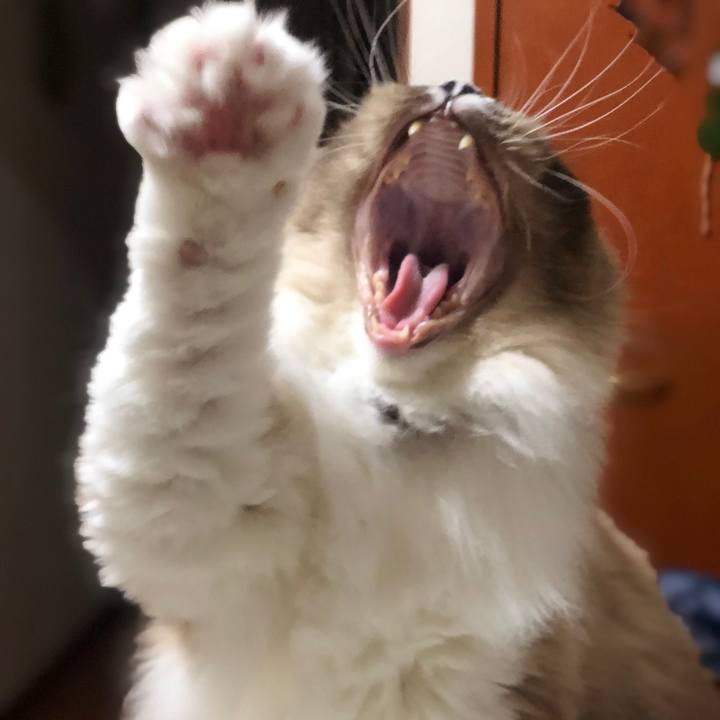 63748948 ef1b 425c bfa9 51c322e5c5a4 1544948729541